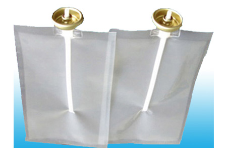 ����������(����)